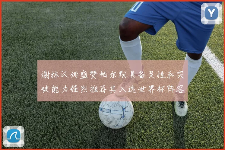 谢林汉姆盛赞帕尔默具备灵性和突破能力强烈推荐其入选世界杯阵容