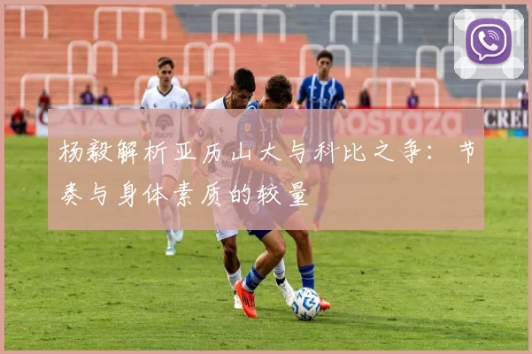 杨毅解析亚历山大与科比之争：节奏与身体素质的较量